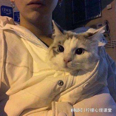 麻痘产精国品免费入口截图2