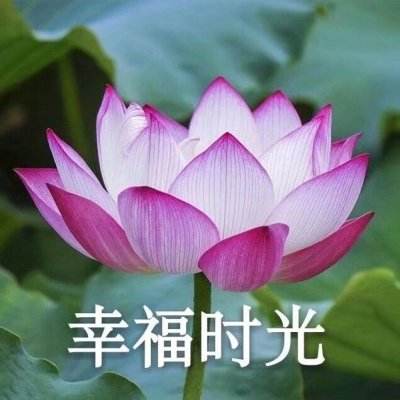 熟睡的妹妹2无马赛克 熟睡的妹妹2无马赛克