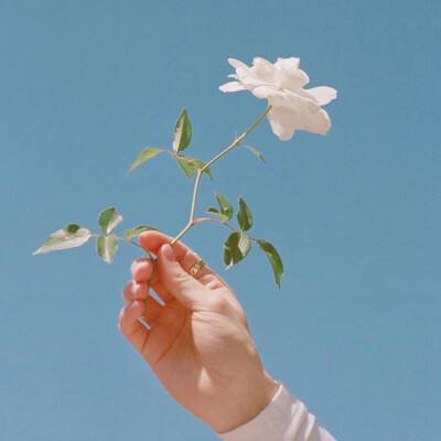 老人自己摔倒诬陷殴打扶人少年被拘
