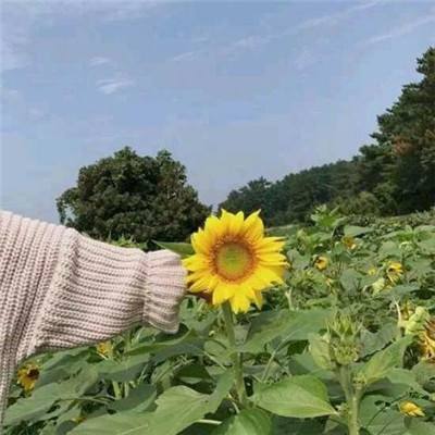 钟南山为香港抗疫提三大建议 强调奥密克戎危害远大于流感