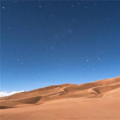 太九t19官方网站截图1
