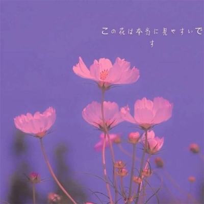 红桃版 红桃版