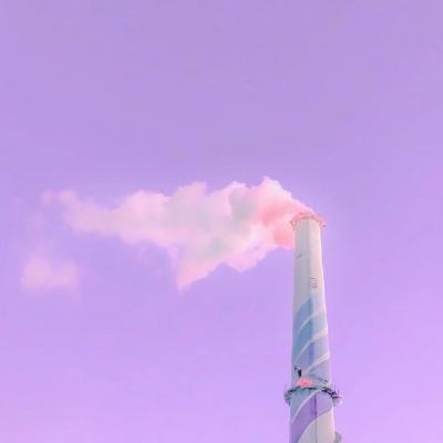 海德堡德中民众共庆己亥猪年