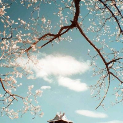 深点轿喘气gif视频截图2