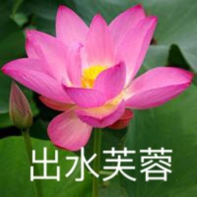 家庭主妇和水管维修